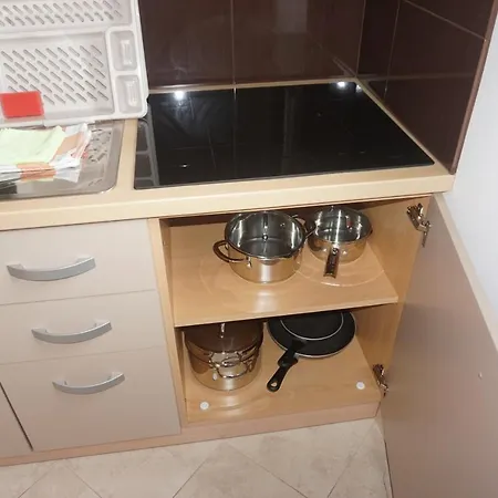 Tunjic Apartment *